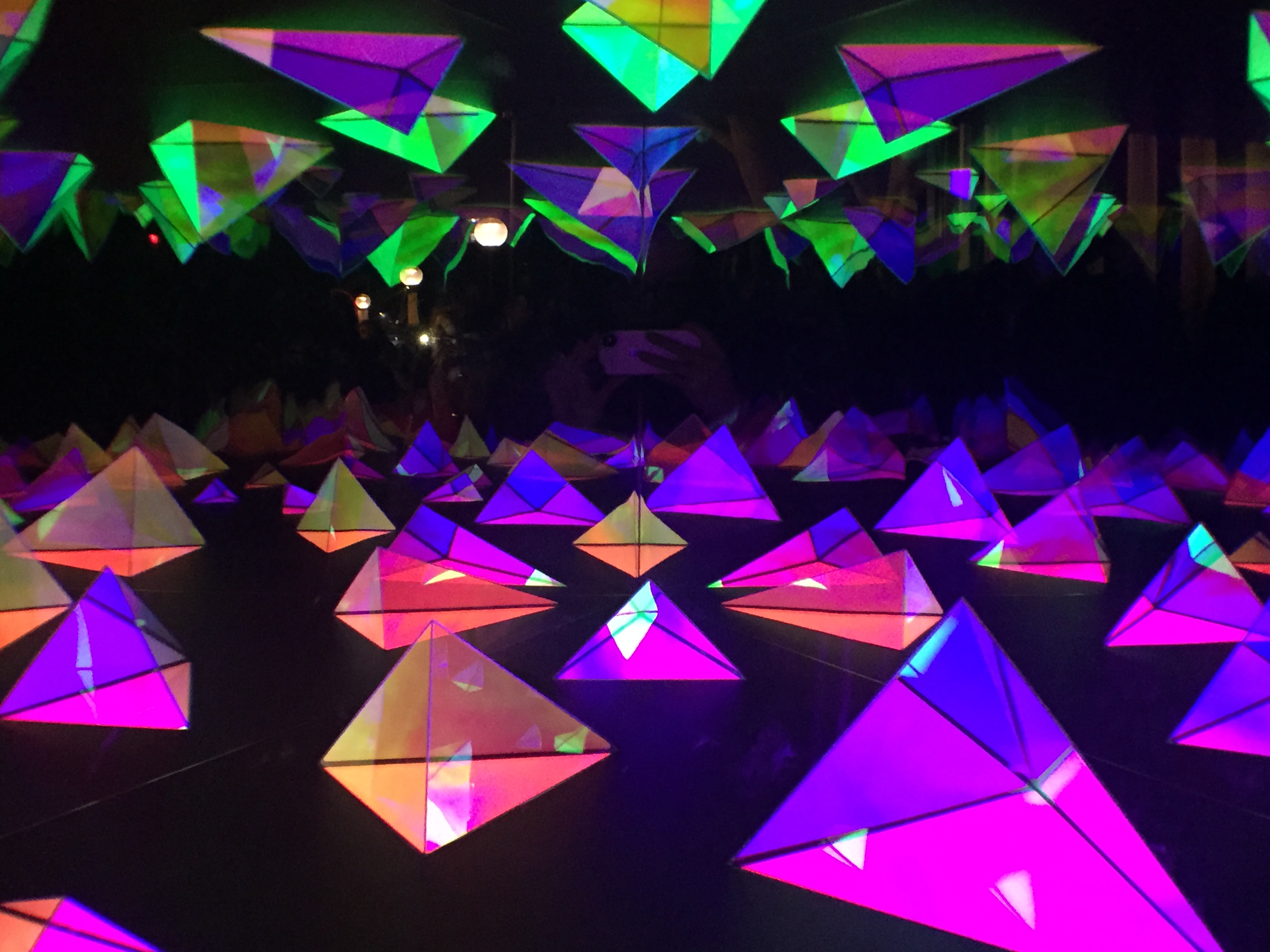 Vivid 2015