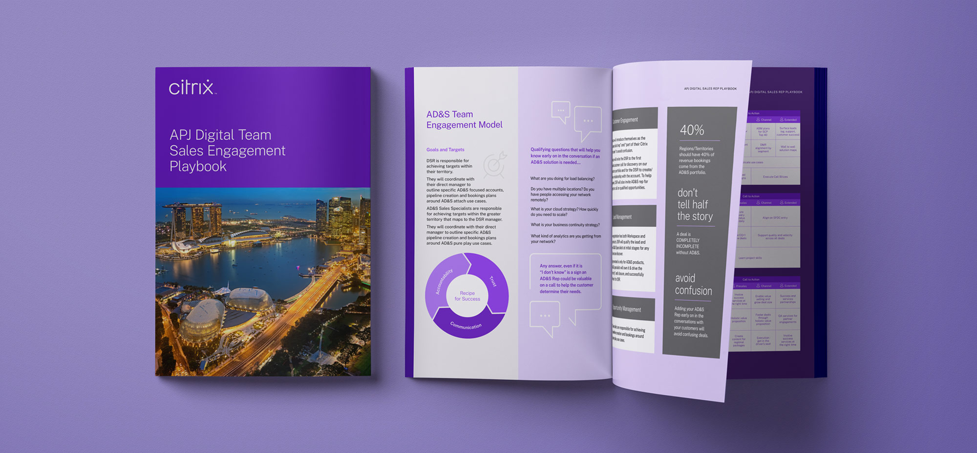 Citrix brochure design